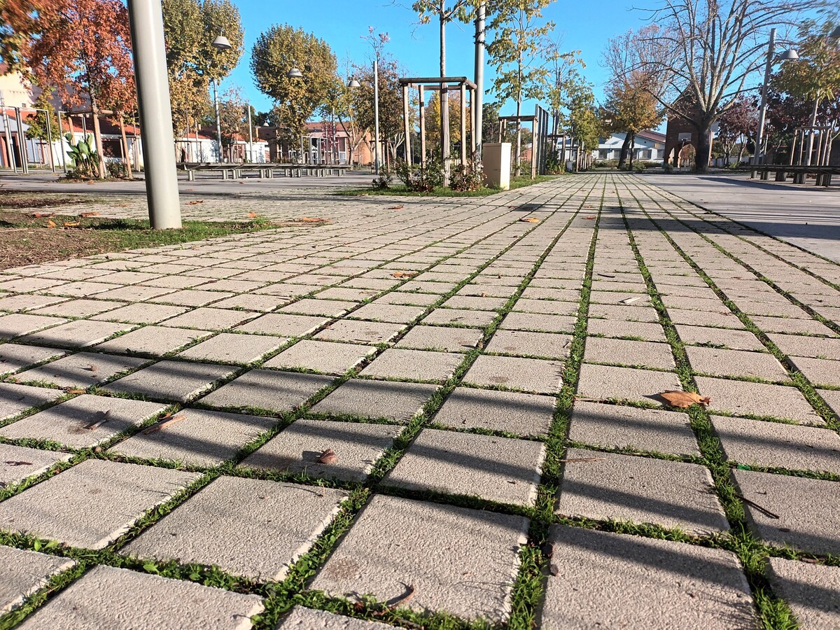 Aménagement en pavés béton alentours de Toulouse et sa région