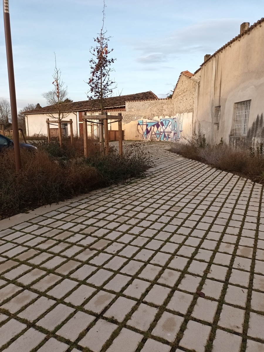 Pose de pavés et dalles béton de chez Birkenmeir sur sable , avec joints sable et engazonnés